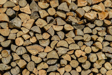 Burmistrz Miasta i Gminy Dolsk ogłasza sprzedaż drewna opałowego oraz drewna tartacznego kłodowanego