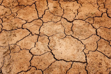 Komunikat dla rolników w sprawie szacowania strat powstałych  w wyniku suszy